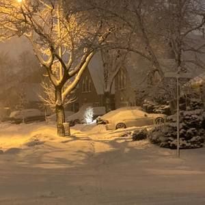 Meet your Posher, Lee